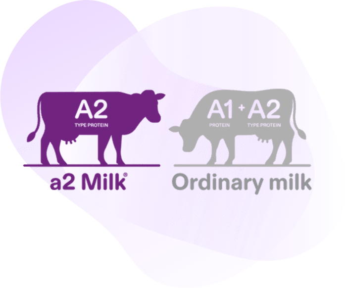 <h2><strong>What is the difference between A1 and A2-type proteins?</strong></h2>